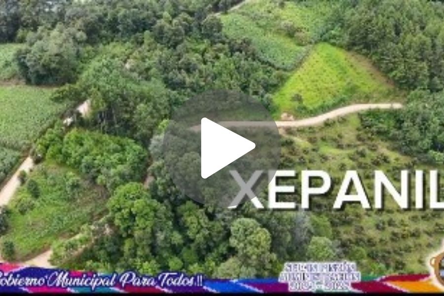 Ver video
