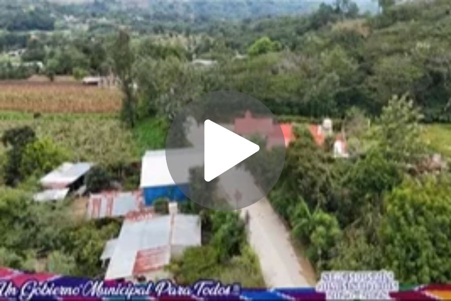 Ver video