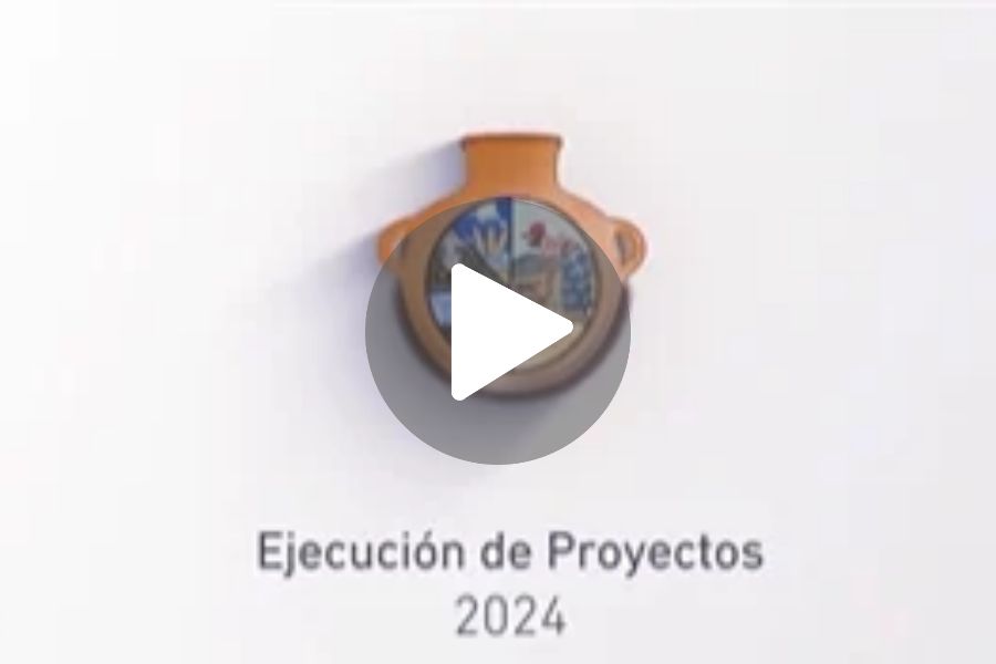 Ver video